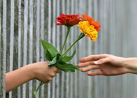 Eine Hand schenkt einen Blumenstrauß